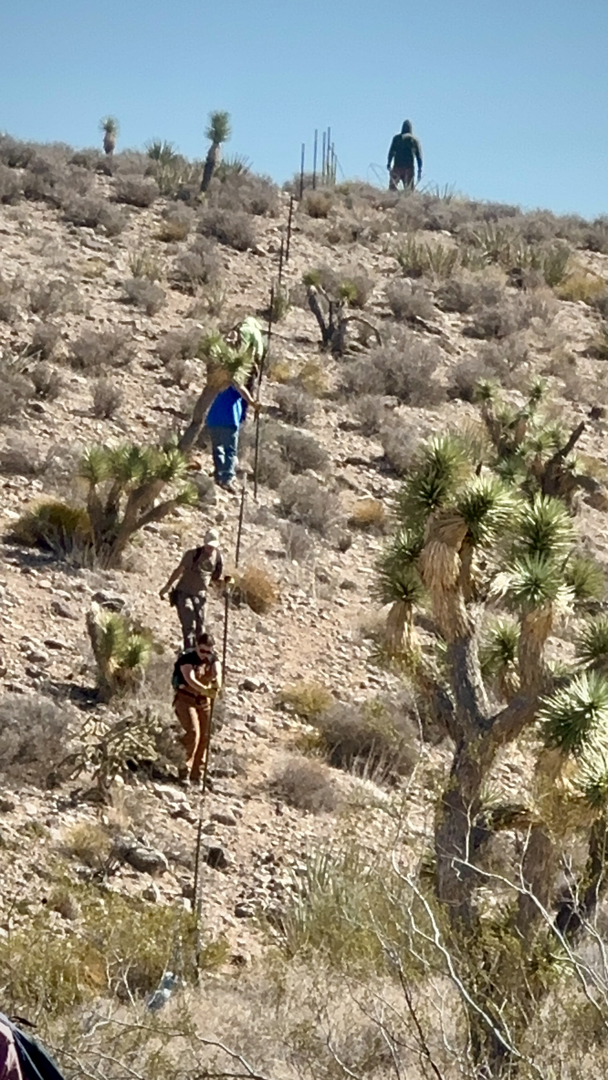 fencing crew on ridge